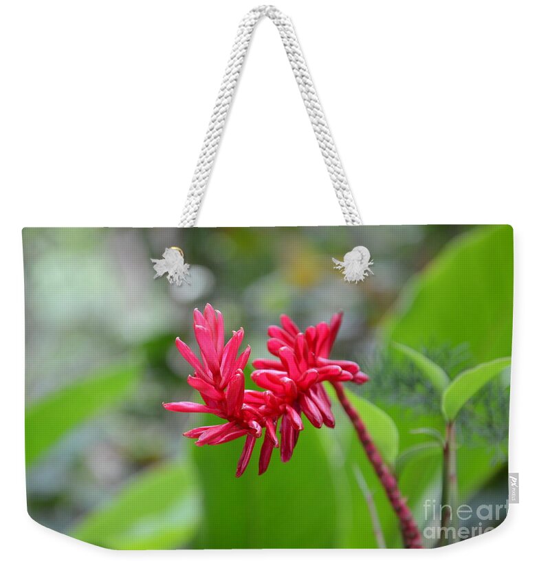 Red Ginger Weekender Tote Bag featuring the photograph Red Ginger by Laurel Best