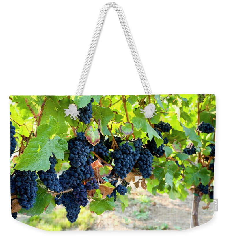 Scenics Weekender Tote Bag featuring the photograph Red Grapes Ripen On The Vine In A by Blackestockphoto
