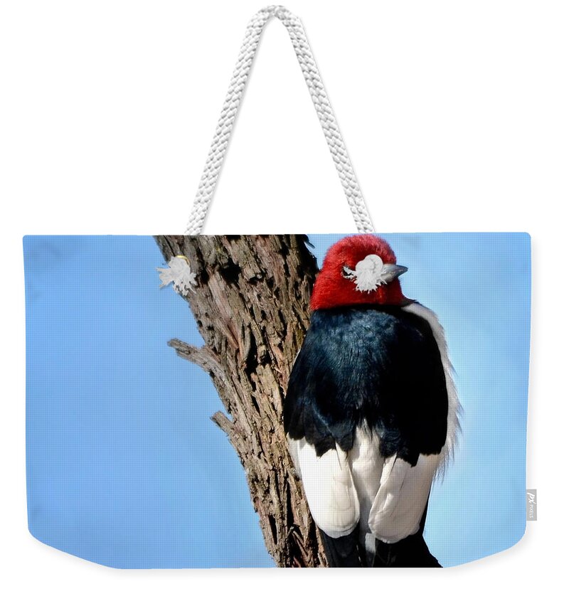 Nature Weekender Tote Bag featuring the photograph Red-headed Woodpecker by Nava Thompson