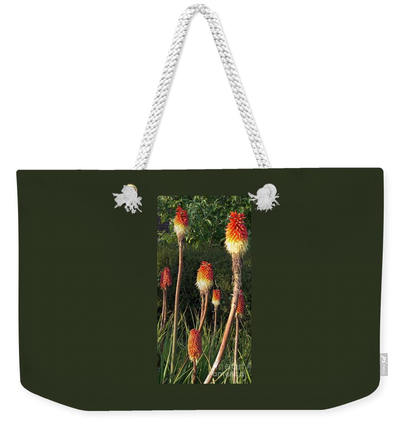 Flower Weekender Tote Bag featuring the photograph Red Hot Pokers by Ann Horn