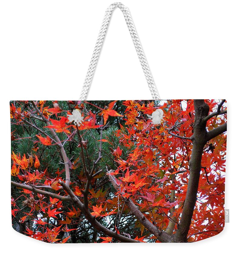 Bridge Weekender Tote Bag featuring the photograph Red Leaves by Nancy Mueller