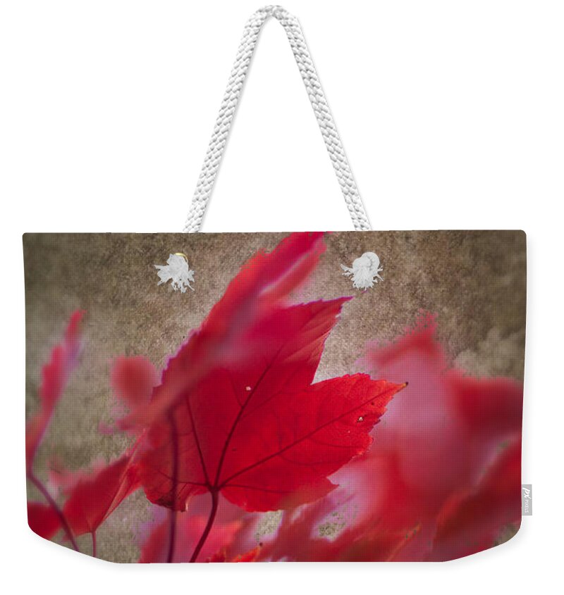 Artistic Fall Colors Weekender Tote Bag featuring the photograph Red Maple Dreams by Jeff Folger