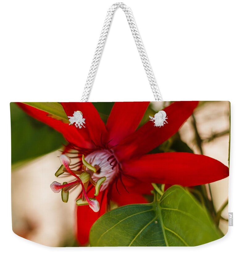 Florida Weekender Tote Bag featuring the photograph Red Passion Flower by Jane Luxton