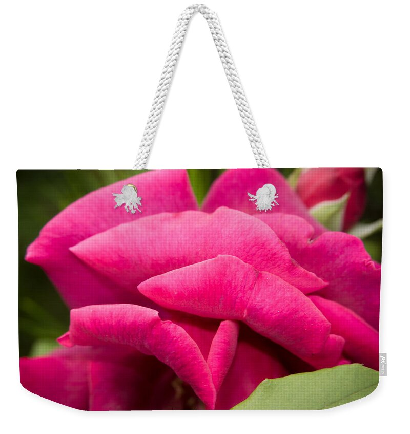 New England Weekender Tote Bag featuring the photograph Red Rose Rising by Jeff Folger