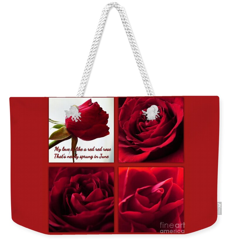 Red Roses Weekender Tote Bag featuring the photograph Red Roses Picture Window Greeting by Joan-Violet Stretch