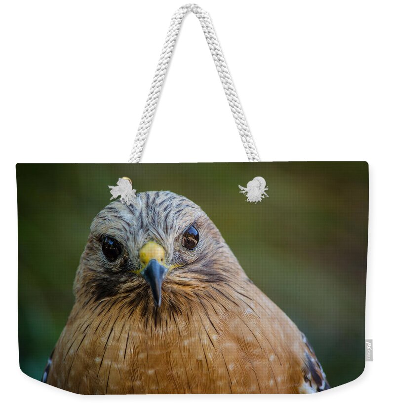 Bird Weekender Tote Bag featuring the photograph Red Shouldered Hawk by Linda Villers