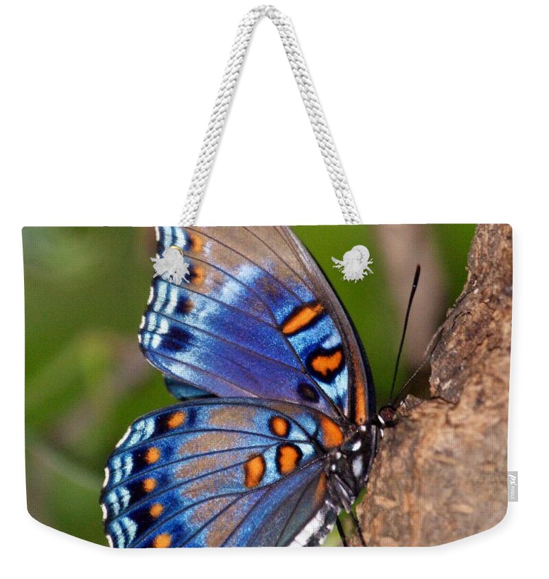 Butterfly Weekender Tote Bag featuring the photograph Red Spotted Purple Butterfly by Sandy Keeton