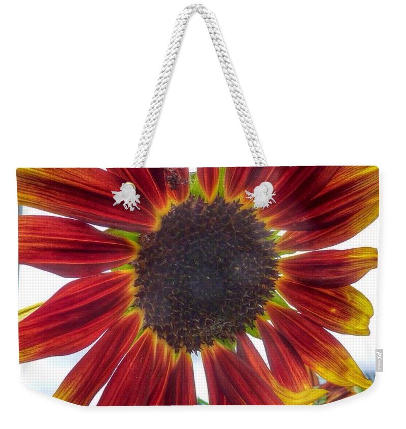 Flower Weekender Tote Bag featuring the photograph Red Sunflower by Susan Garren