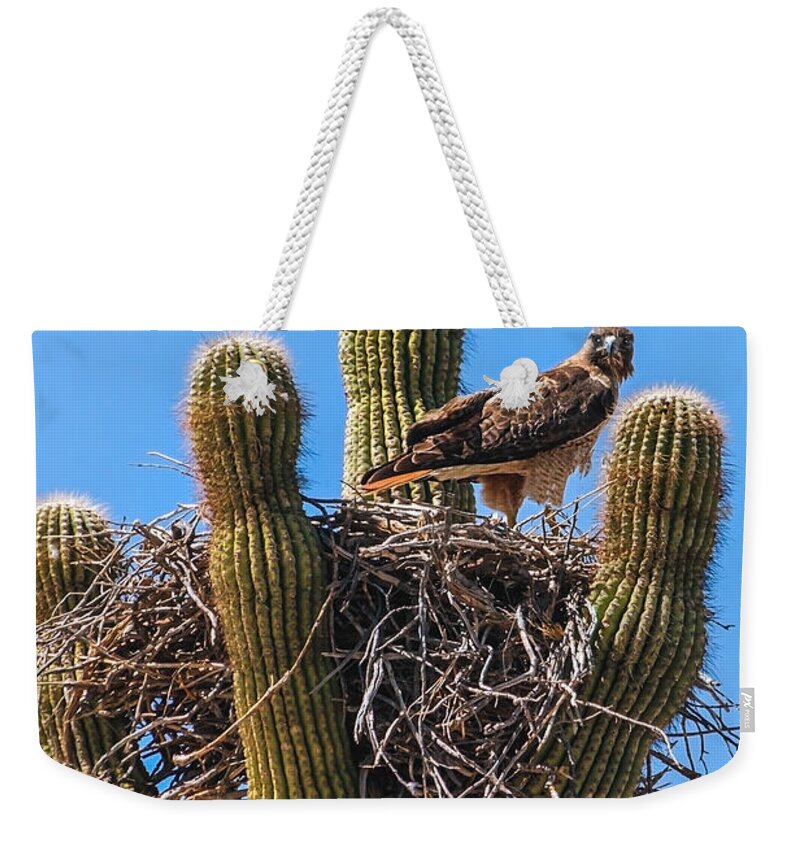 Buteo Jamaicensis Weekender Tote Bag featuring the photograph Red-tailed Hawk by Robert Bales