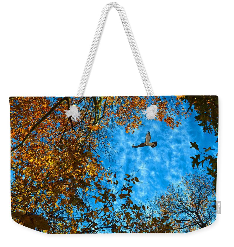 Red-tailed Hawk Weekender Tote Bag featuring the photograph Red-tailed Hawk by Sandi OReilly