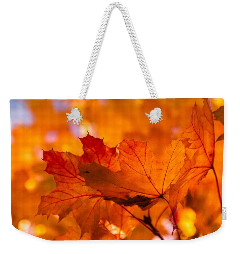 Salem Weekender Tote Bag featuring the photograph Red tipped gold by Jeff Folger
