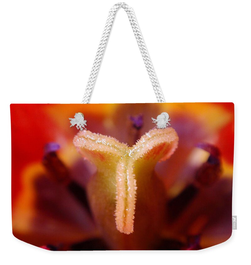 Tulip Weekender Tote Bag featuring the photograph Red Tulip Abstract by Rona Black
