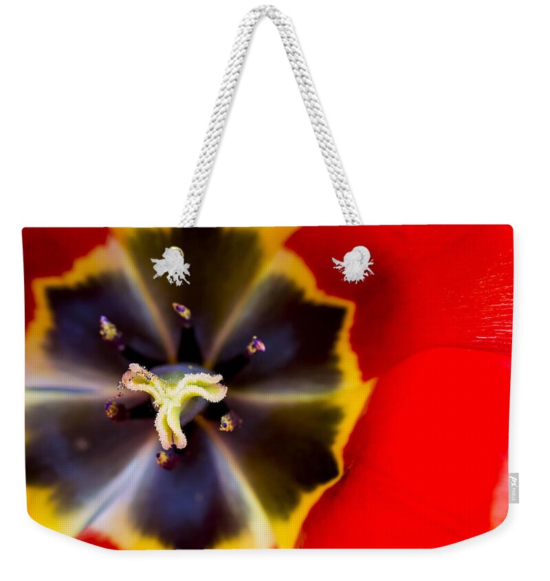 3scape Photos Weekender Tote Bag featuring the photograph Red Tulip Macro by Adam Romanowicz