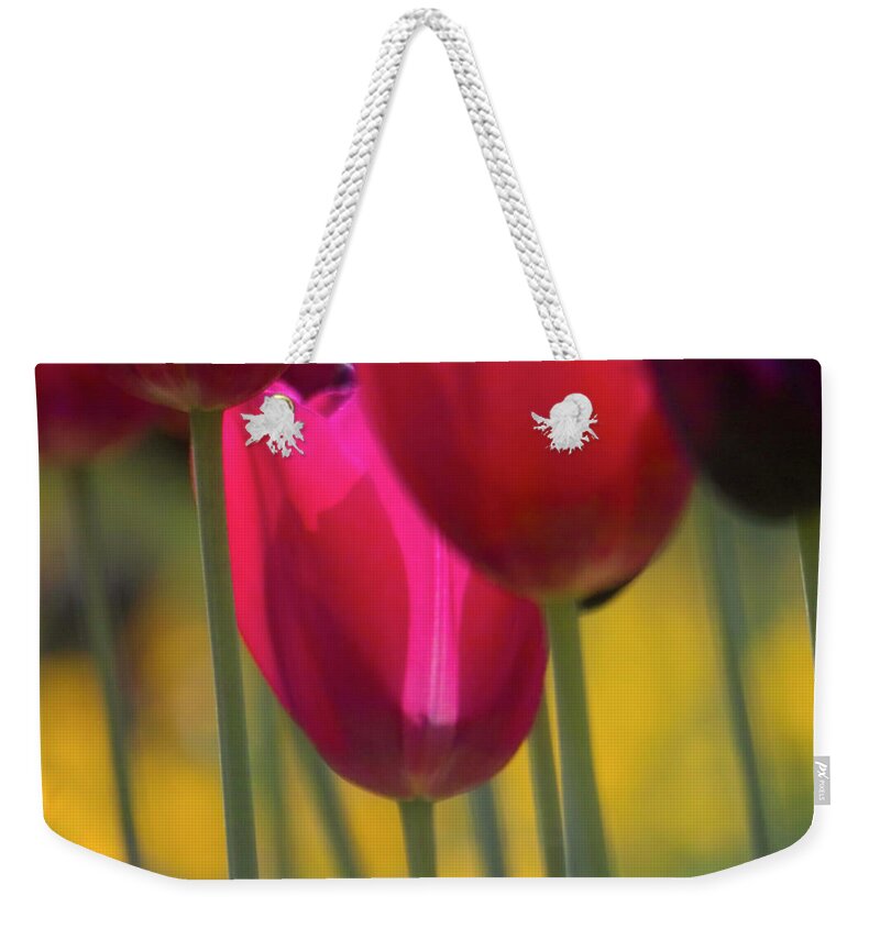 Tulip Weekender Tote Bag featuring the photograph Red Tulips by Heiko Koehrer-Wagner