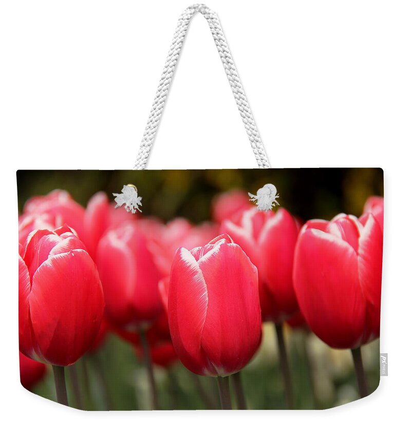 Tulip Weekender Tote Bag featuring the photograph Red Tulips Skaget Valley by Jennie Marie Schell