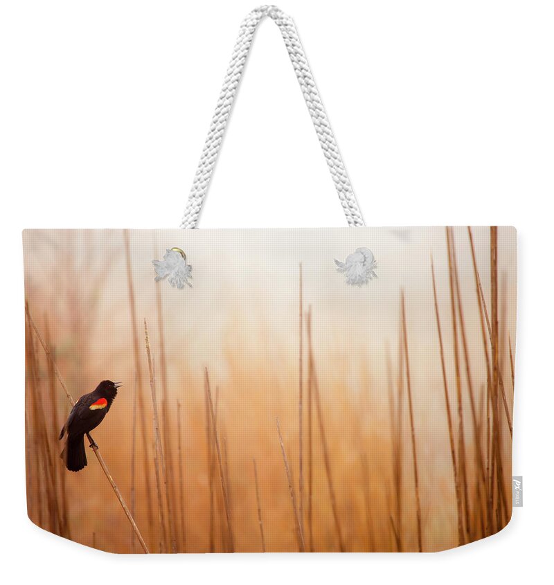 Delaware Weekender Tote Bag featuring the photograph Red-winged Black Bird In Song by Michael Lawrence Photography