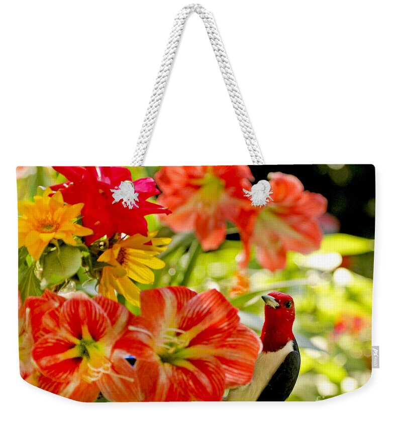 Red Headed Woodpecker Photography Weekender Tote Bag featuring the photograph Redheaded Woodpecker and Amaryllis by Luana K Perez