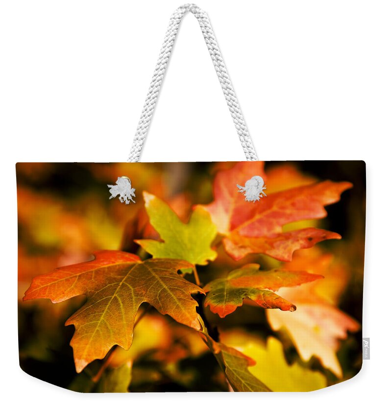 Red Weekender Tote Bag featuring the photograph Reds by Chad Dutson