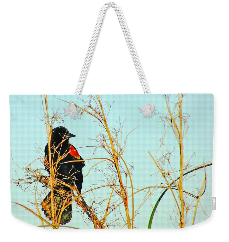 Redwing Blackbird Weekender Tote Bag featuring the photograph Redwing Lacassine by Lizi Beard-Ward