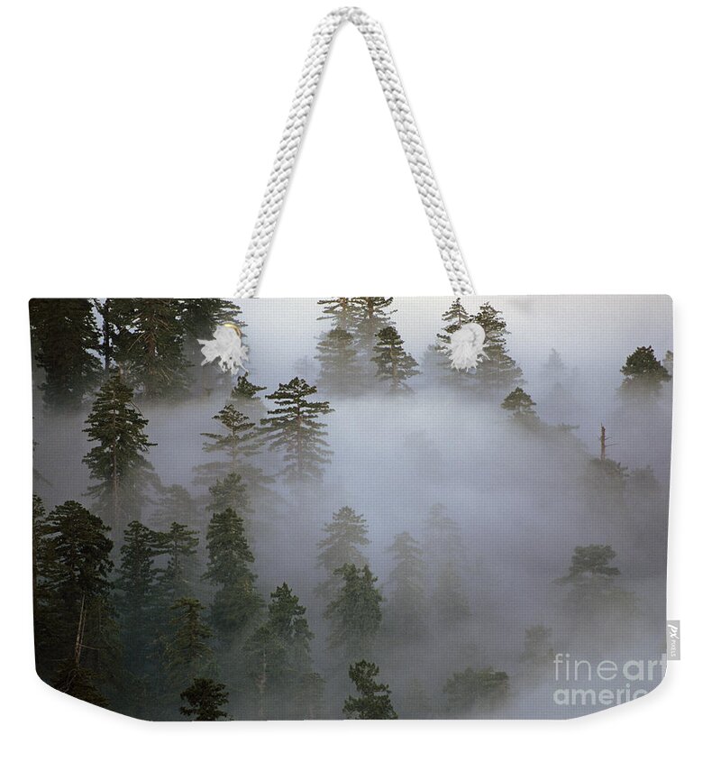 Nature Weekender Tote Bag featuring the photograph Redwood Creek overlook with giant redwoods by Jim Corwin