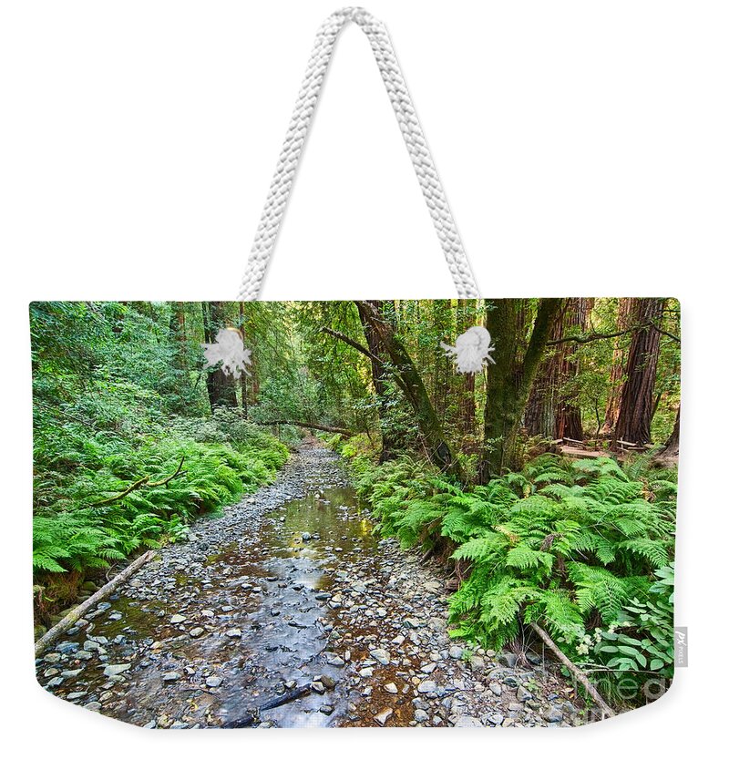 Redwood Weekender Tote Bag featuring the photograph Redwood Forest of Muir Woods National Monument. by Jamie Pham