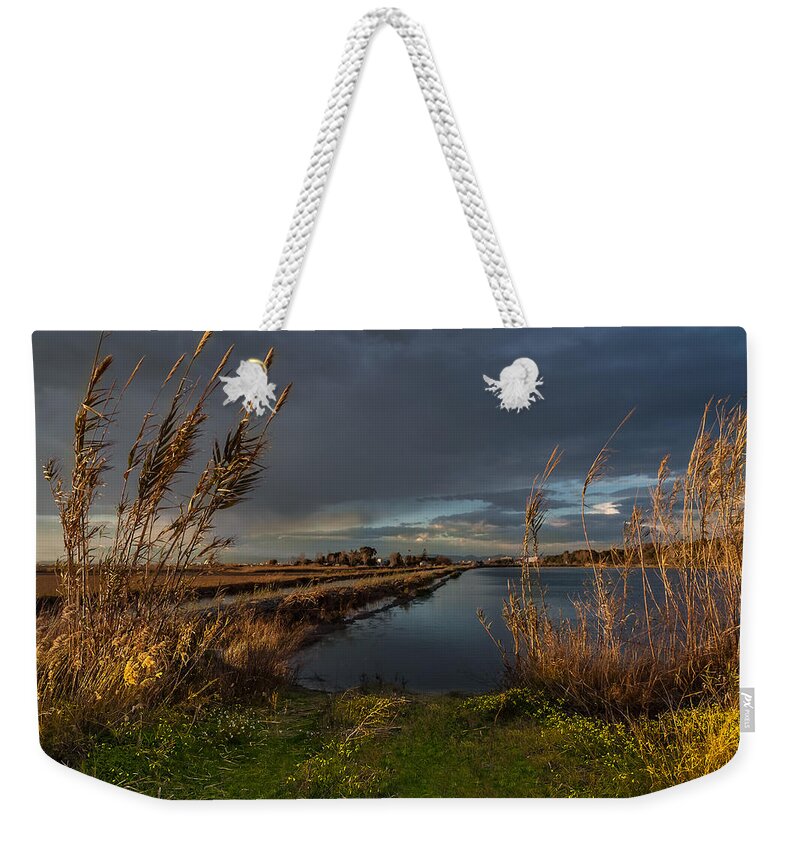Albufera Lagoon Weekender Tote Bag featuring the photograph Reeds and Pools. Valencia by Juan Carlos Ferro Duque
