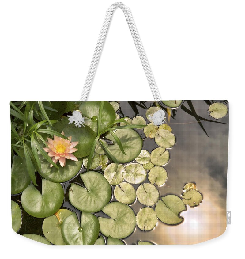 Water Lilies Weekender Tote Bag featuring the photograph Reflected Light upon Flowering Water Lilies by Jason Politte