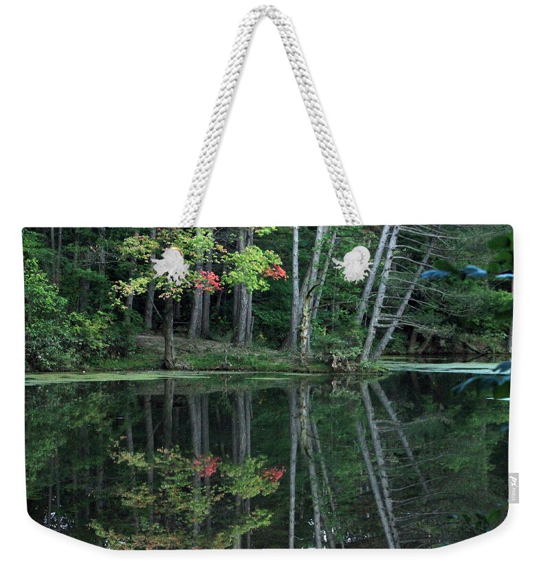 Landscape Weekender Tote Bag featuring the photograph Reflection by Bruce Patrick Smith