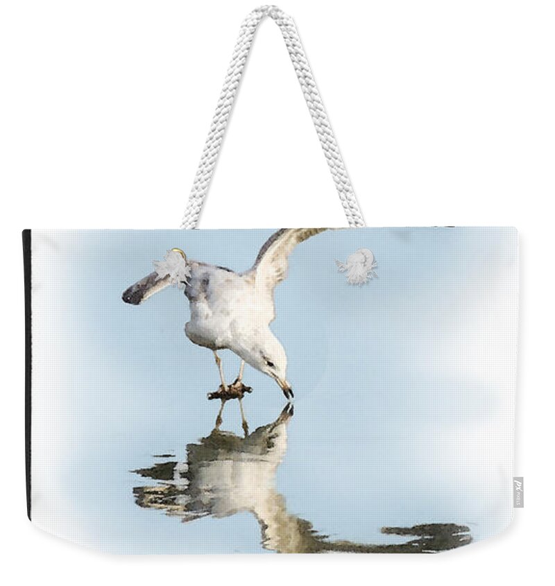 Seagull Weekender Tote Bag featuring the photograph Reflection in Ice by Betty LaRue