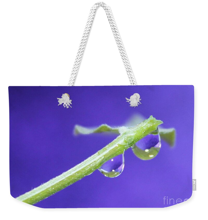 Plant Weekender Tote Bag featuring the photograph Reflections of Hope by Krissy Katsimbras