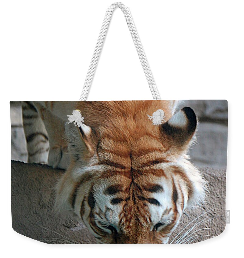 Tiger Weekender Tote Bag featuring the digital art Reflections of the Wild by DigiArt Diaries by Vicky B Fuller