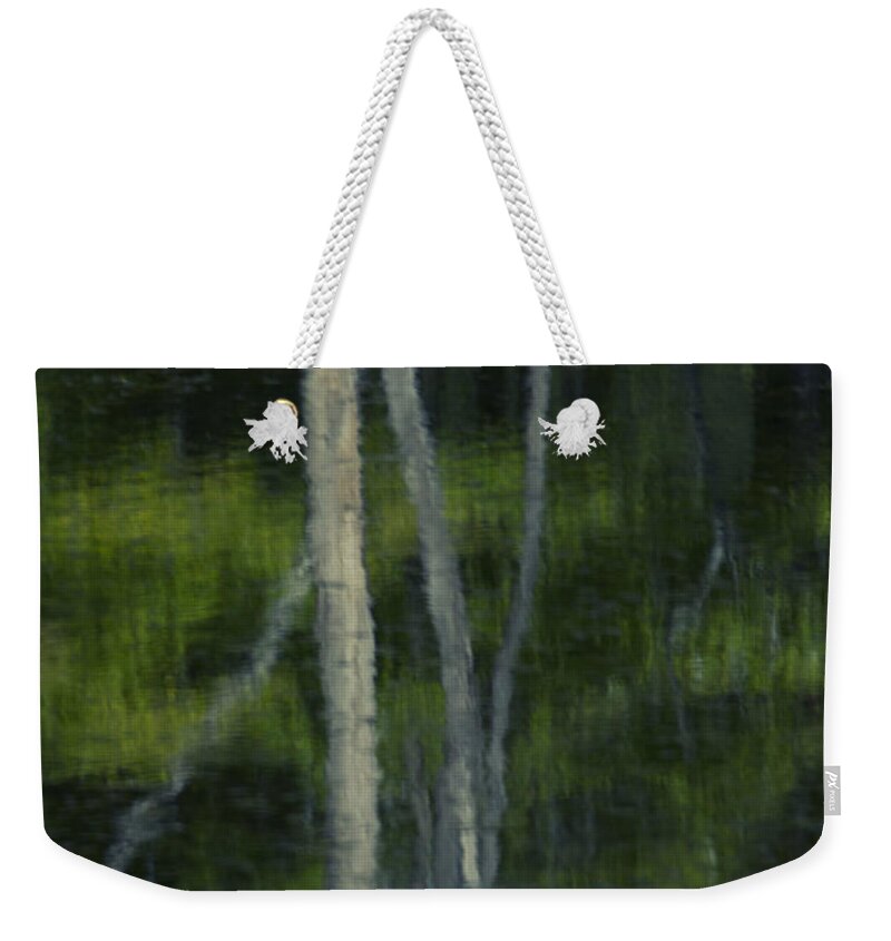 Trees Weekender Tote Bag featuring the photograph Reflections by Skip Tribby