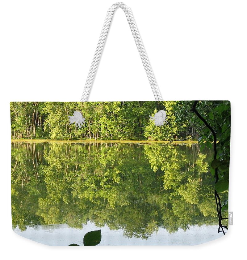 Reflection Weekender Tote Bag featuring the photograph Radnor Lake State Park by Valerie Collins