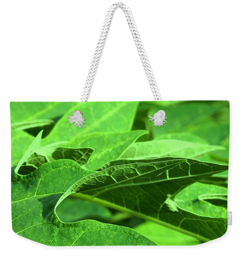 New Weekender Tote Bag featuring the photograph Tropical Green Sea of Papaya Leaves by Belinda Lee