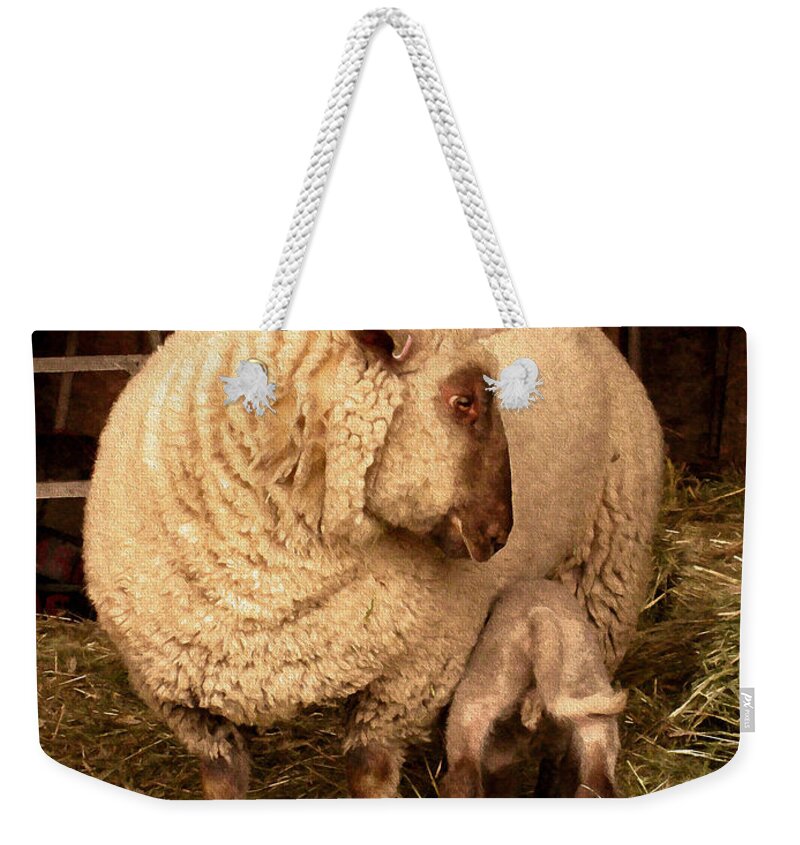 Sheep Weekender Tote Bag featuring the photograph ReFuel by Kathy Bassett