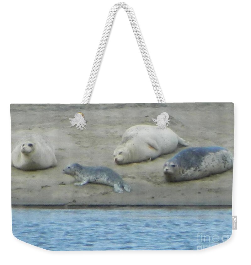Seals Weekender Tote Bag featuring the photograph Relaxation by Gallery Of Hope 
