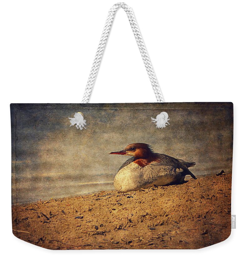 Merganser Weekender Tote Bag featuring the photograph Relaxing Under The Sun by Maria Angelica Maira