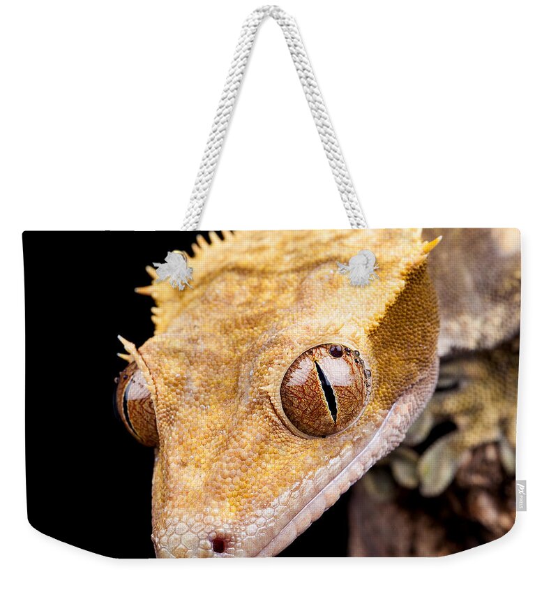 Abstract Weekender Tote Bag featuring the photograph Reptile near water close up by Simon Bratt