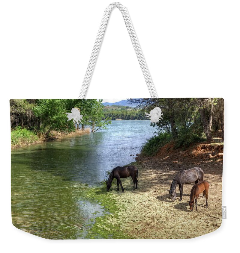 Horse Weekender Tote Bag featuring the photograph Reservoir Regajo by Quimgranell