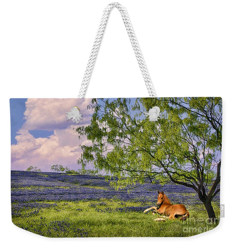 Bluebonnets Weekender Tote Bag featuring the photograph Resting Among the Bluebonnets by Priscilla Burgers