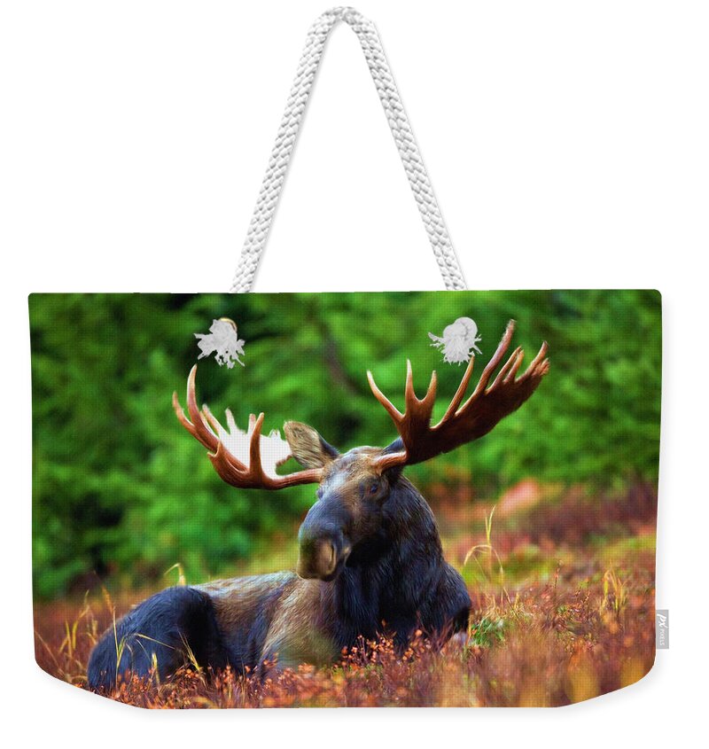 Moose Weekender Tote Bag featuring the painting Resting in peace by Inspirowl Design