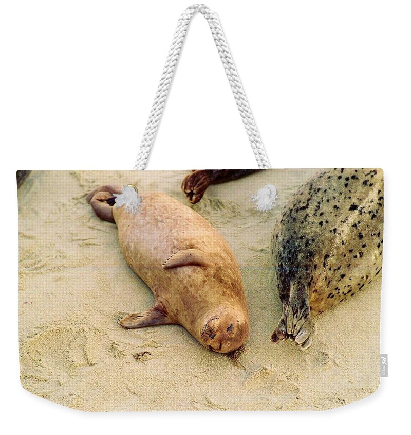 Seal Weekender Tote Bag featuring the photograph Resting Seal by Kathy Bassett
