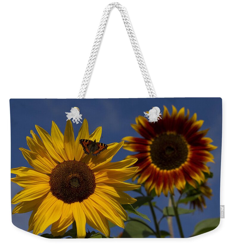 Summer Weekender Tote Bag featuring the photograph Resting by Shirley Mitchell