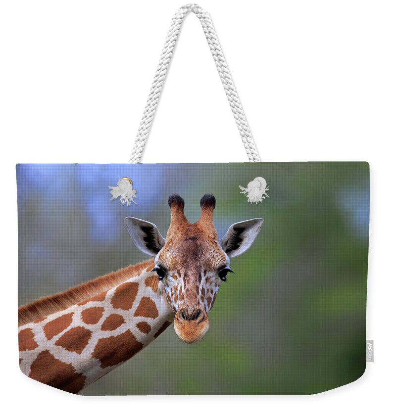 One Animal Weekender Tote Bag featuring the photograph Reticulated Giraffe by Tier Und Naturfotografie J Und C Sohns