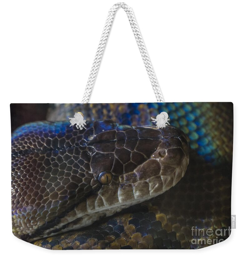 Clare Bambers Weekender Tote Bag featuring the photograph Reticulated Python with Rainbow Scales by Clare Bambers
