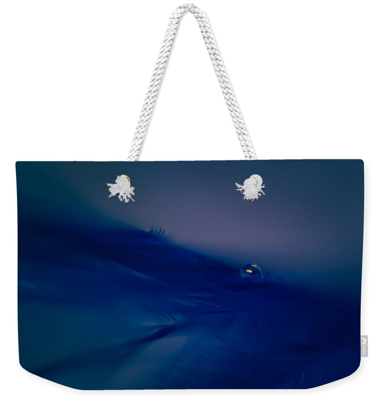 Abstract Weekender Tote Bag featuring the photograph Rhapsody in Blue by Lauri Novak