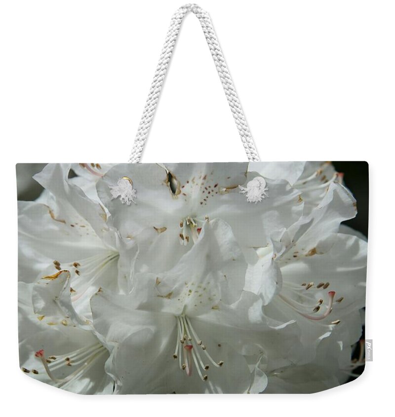 Rhododendron Weekender Tote Bag featuring the photograph Rhododendron Purity by Christiane Schulze Art And Photography
