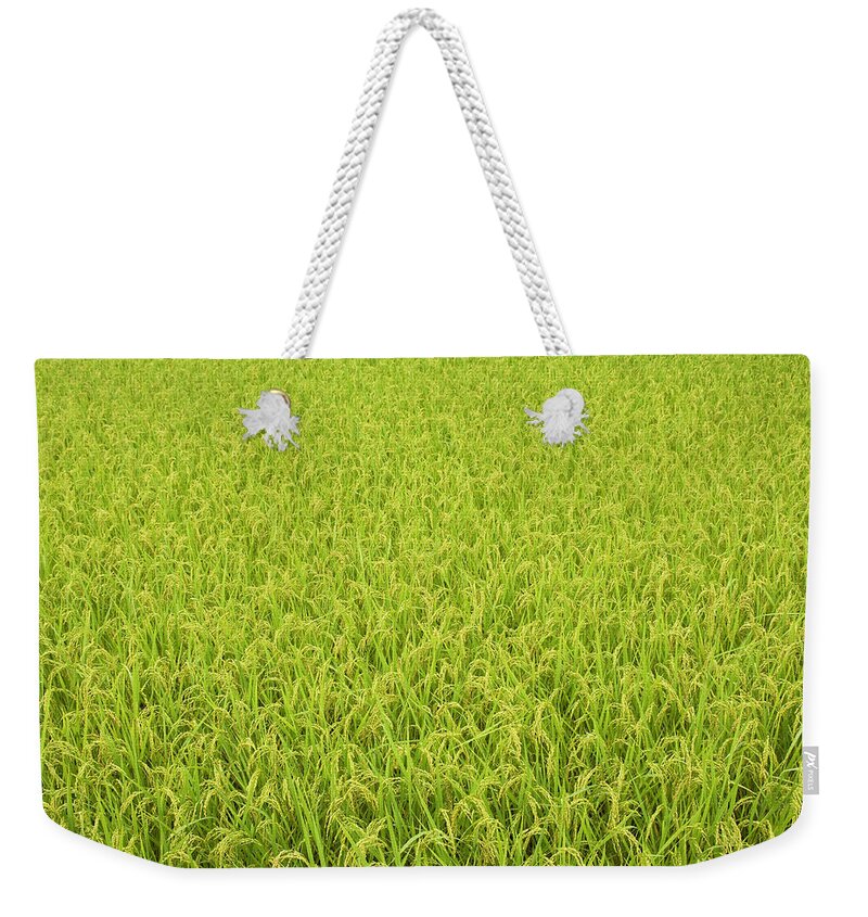 Tranquility Weekender Tote Bag featuring the photograph Rice Field by Wataru Yanagida