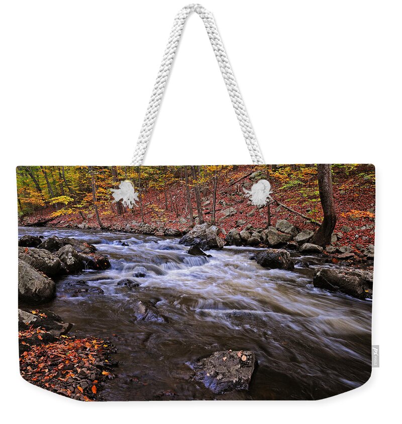River Weekender Tote Bag featuring the photograph River of Color by Dave Mills