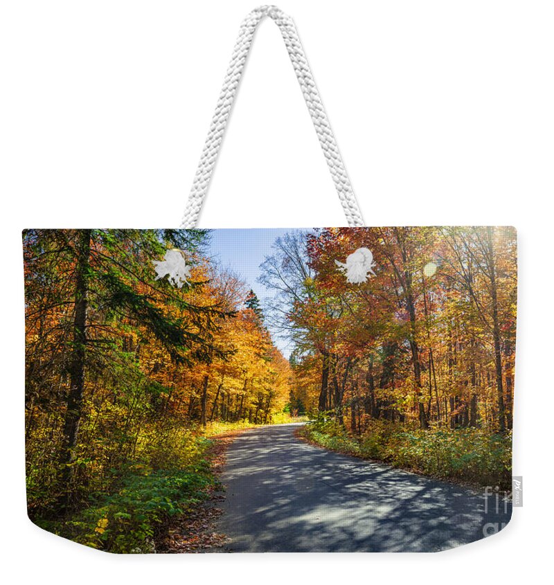 Road Weekender Tote Bag featuring the photograph Road through fall forest by Elena Elisseeva